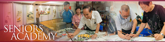 Seniors Academy